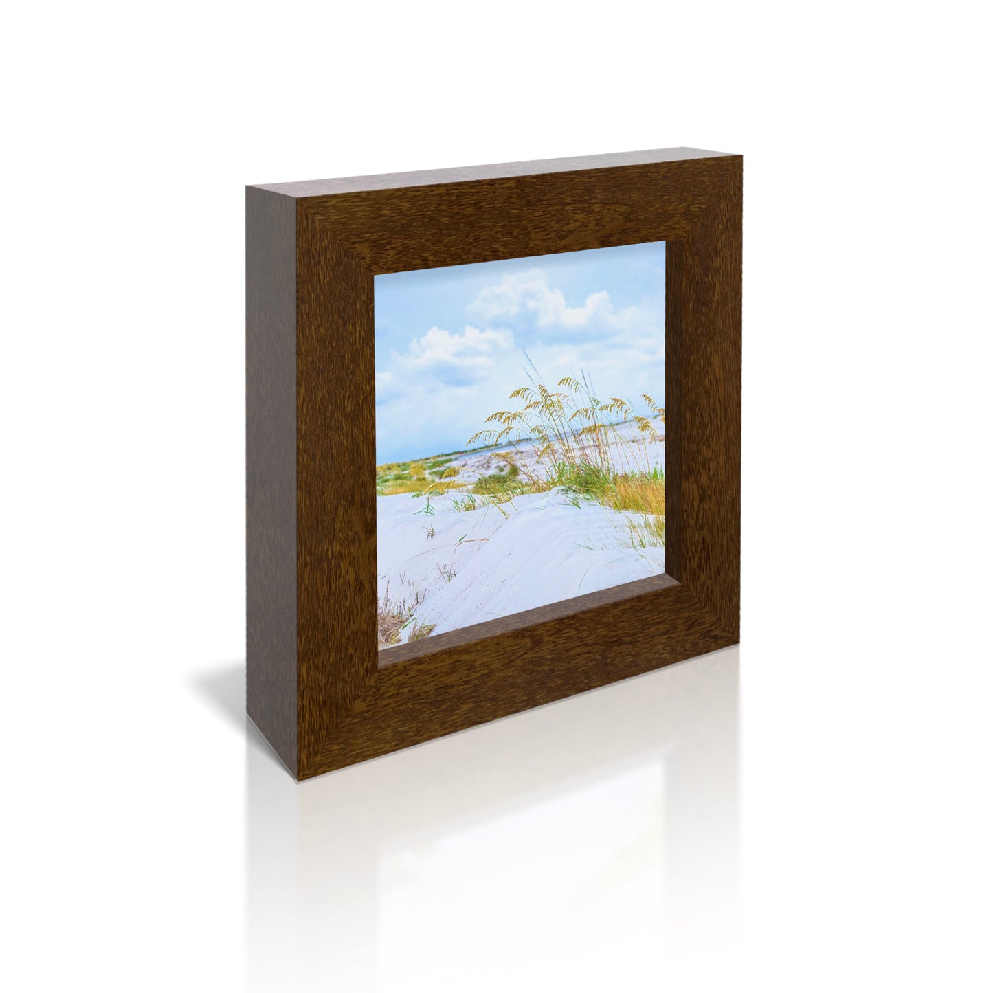 5x5 Framed Giclee - Beach Dunes
