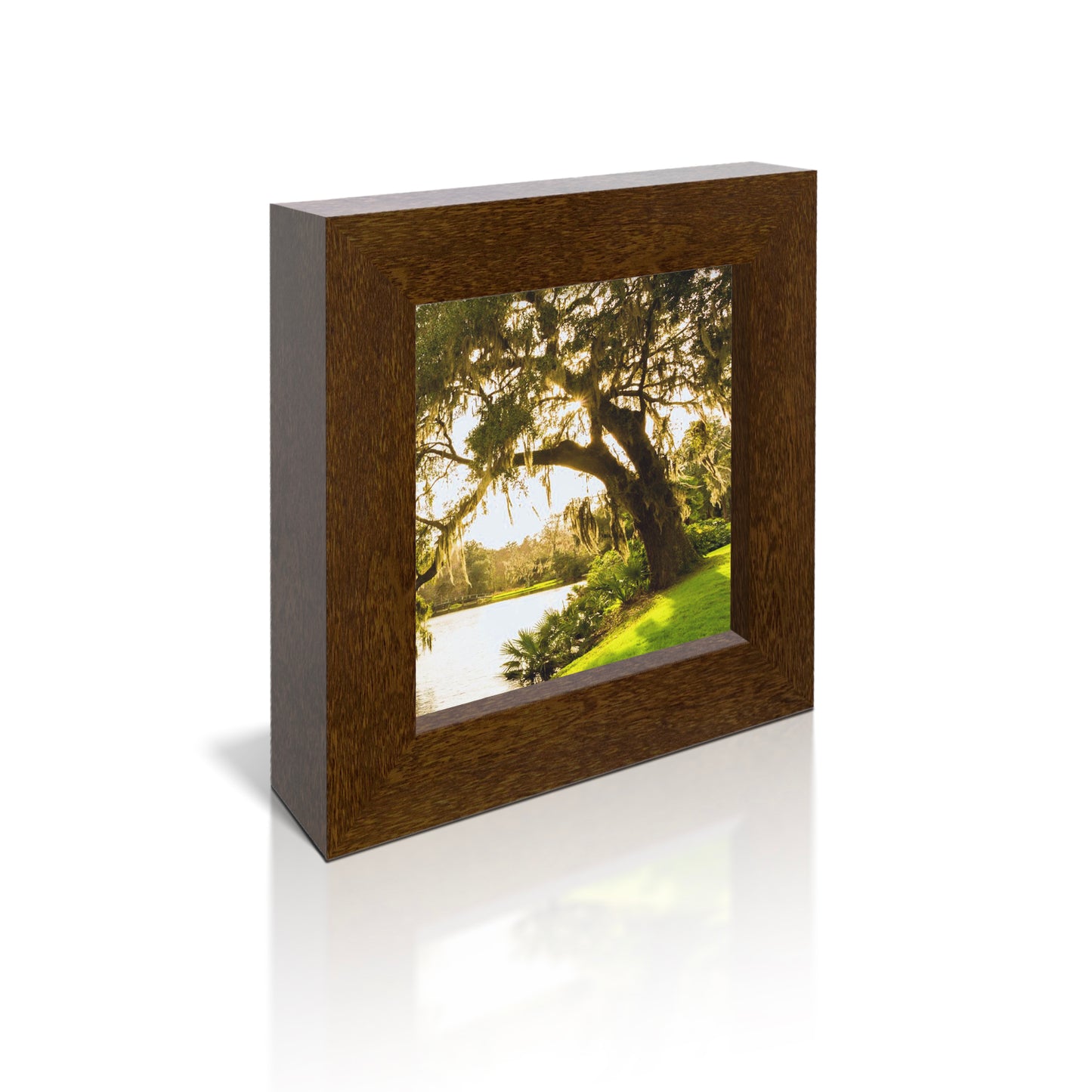 5x5 Framed Giclee - Mossy Oak