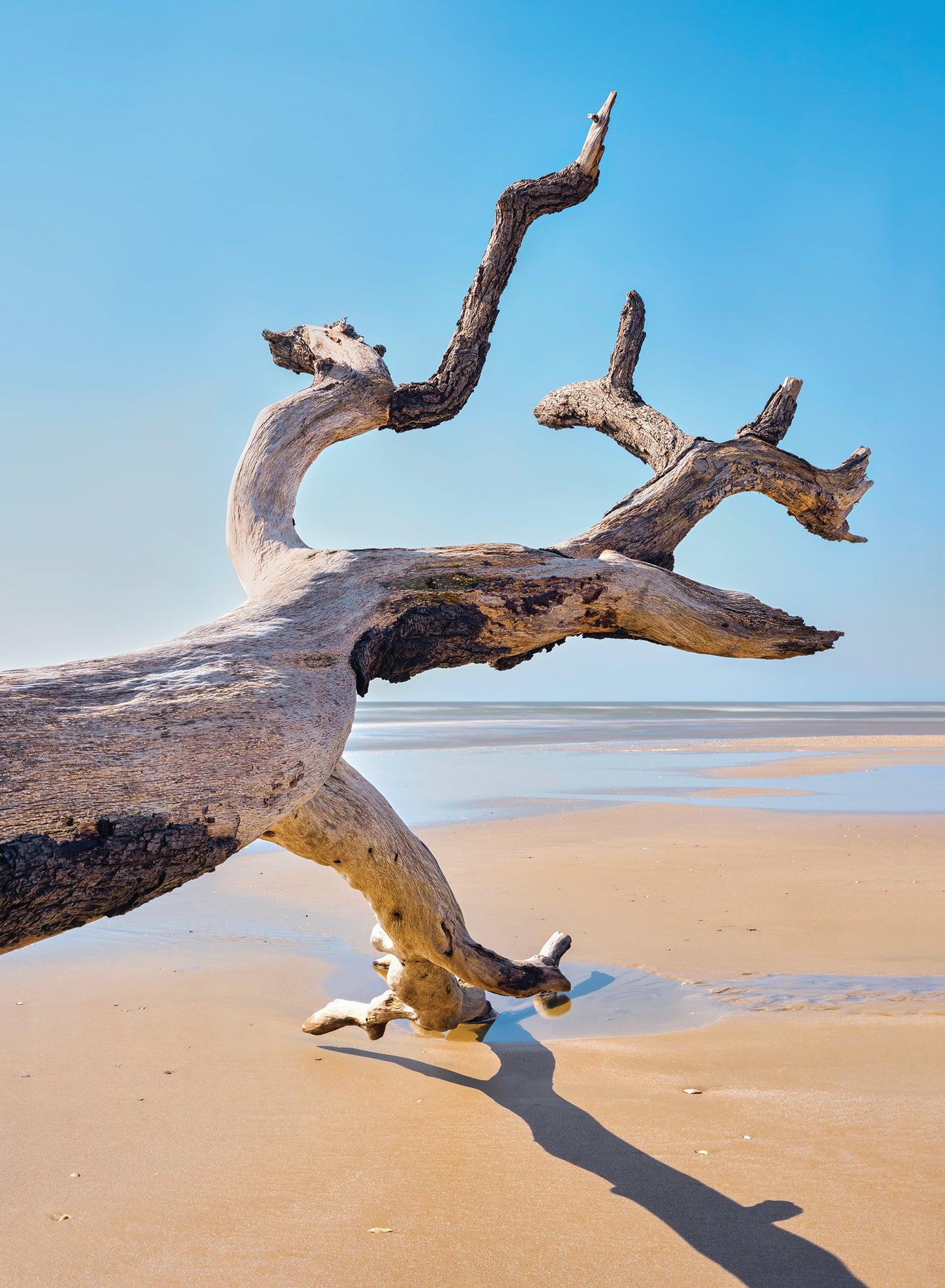 5x7 Art Cards - Reaching Out