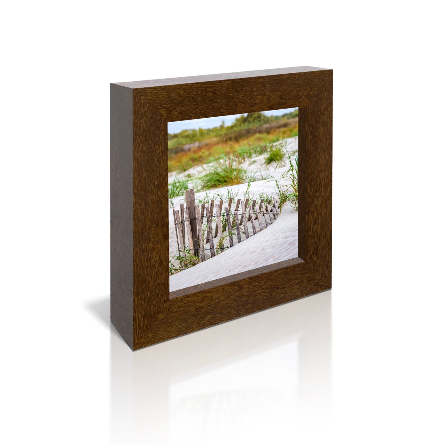 5x5 Framed Giclee - Dune Fence