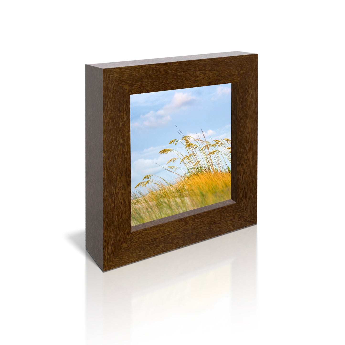 5x5 Framed Giclee -  Dune Grass