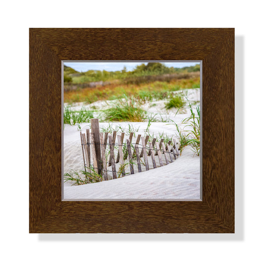 5x5 Framed Giclee - Dune Fence