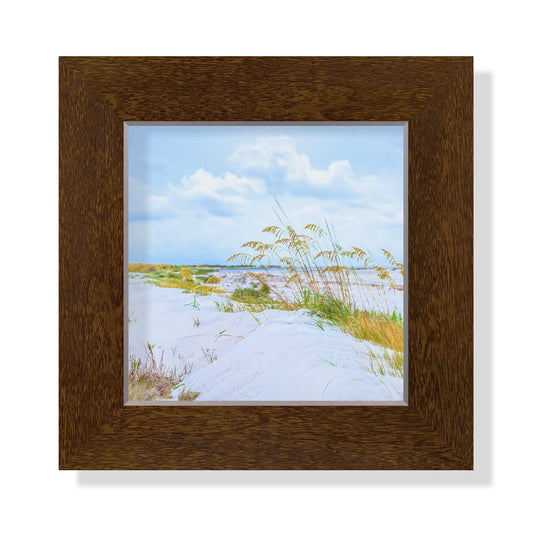 5x5 Framed Giclee -  Beach Dunes