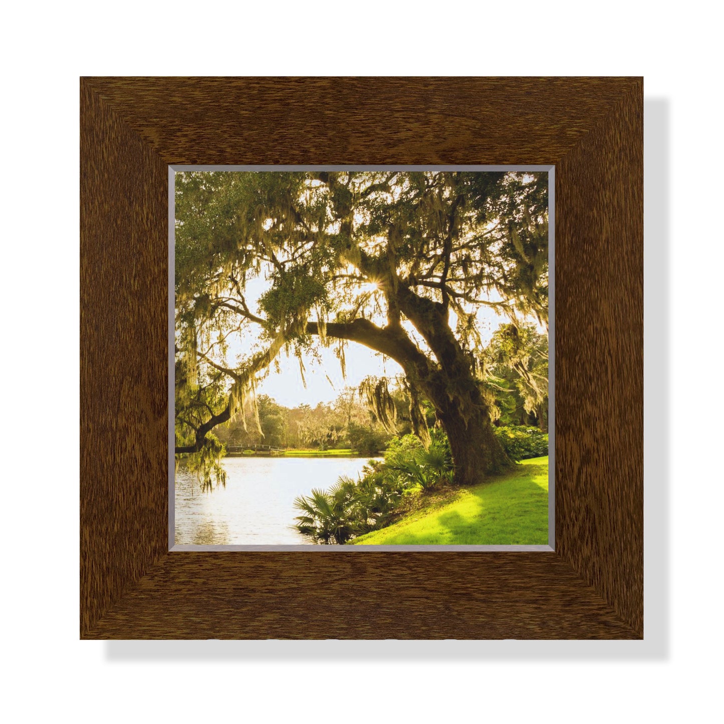 5x5 Framed Giclee - Mossy Oak