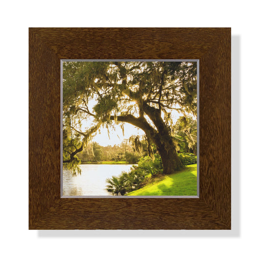 5x5 Framed Giclee - Mossy Oak