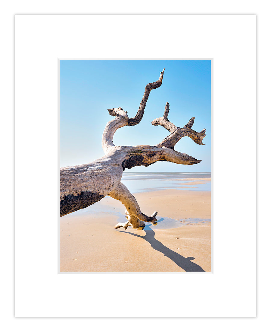 Matted Giclee - Reaching Out