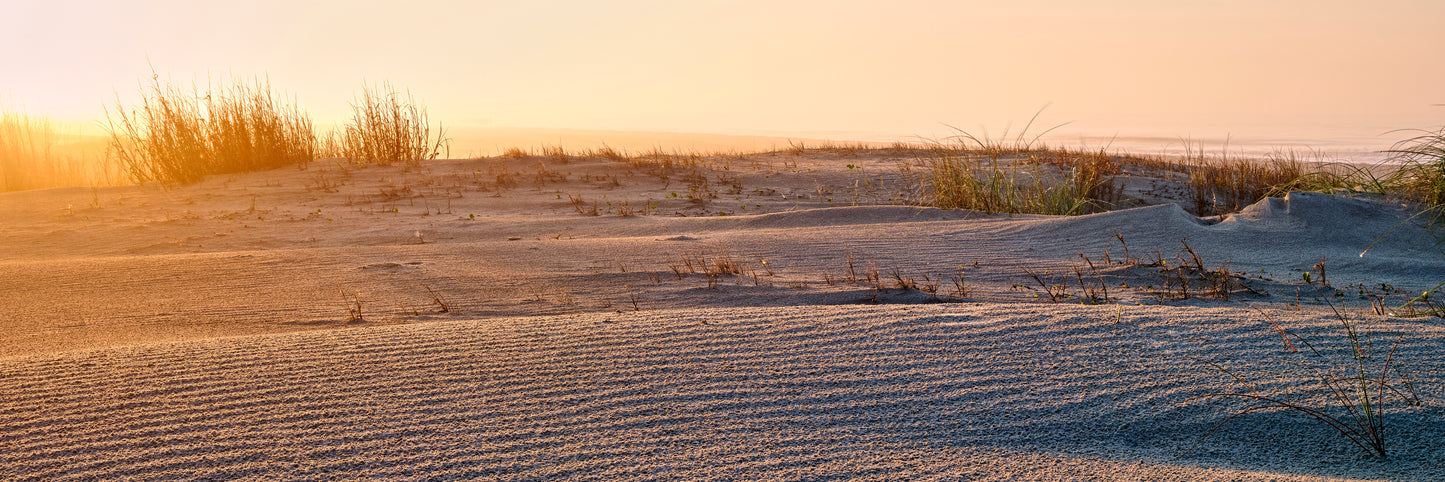 Sand Ripples