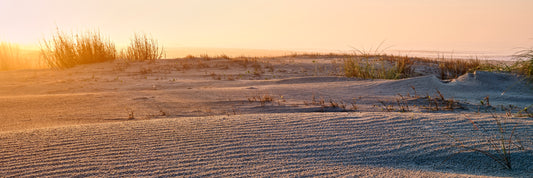Sand Ripples