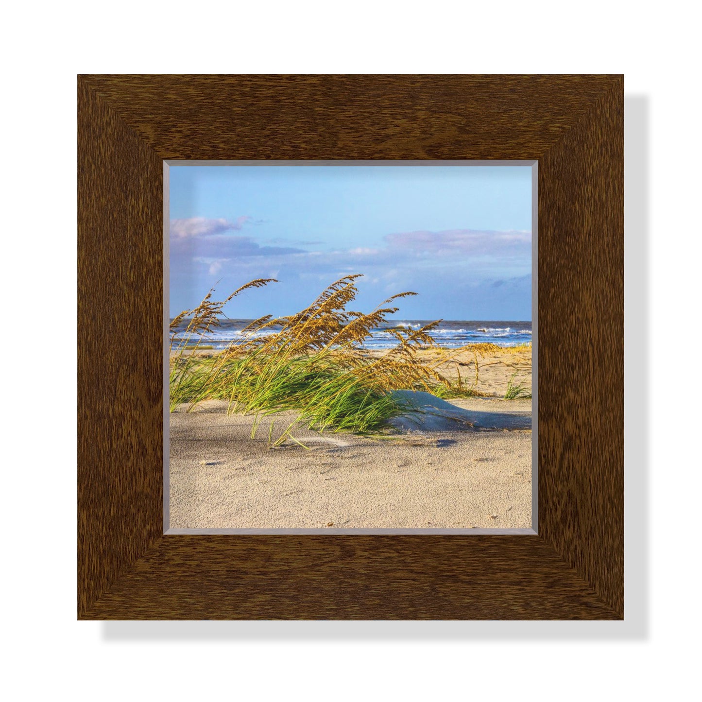 5x5 Framed Giclee - Sea Oats