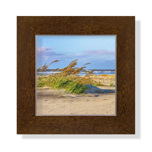 5x5 Framed Giclee - Sea Oats