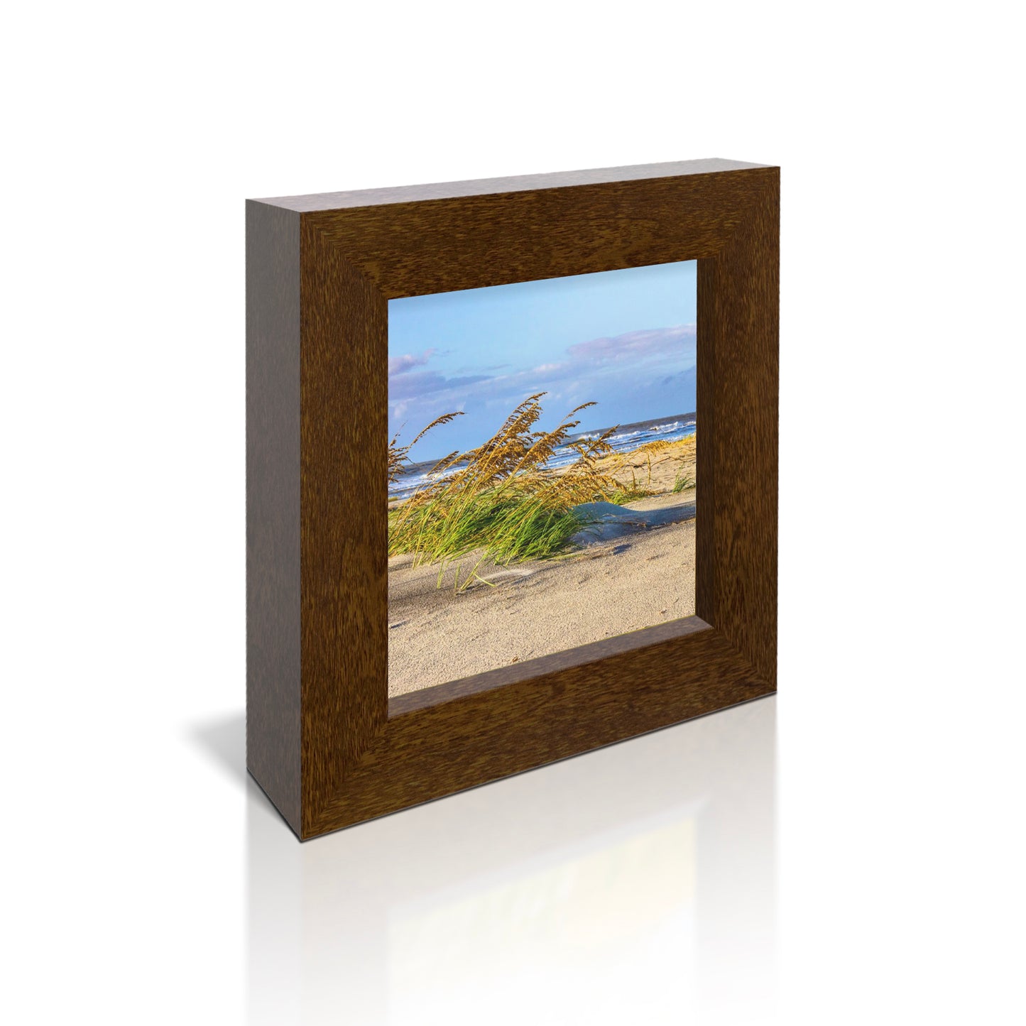 5x5 Framed Giclee - Sea Oats