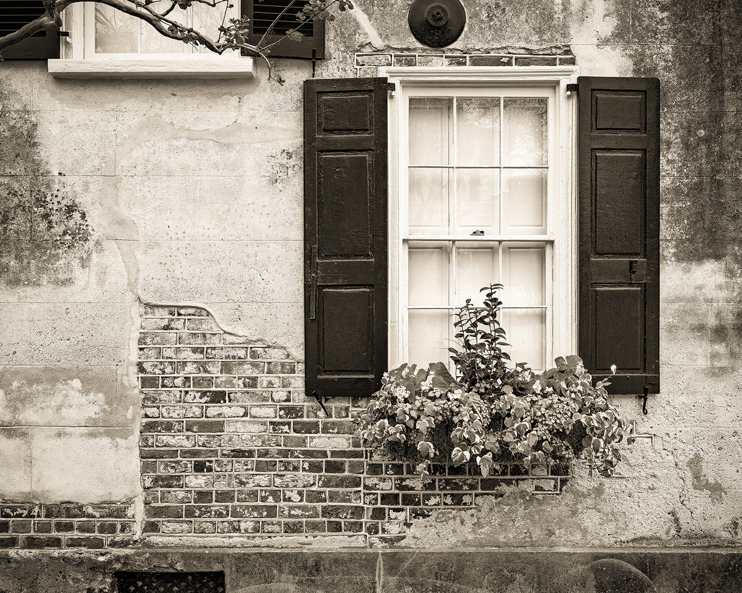 Vintage Facade
