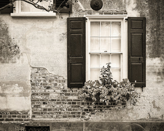 Vintage Facade